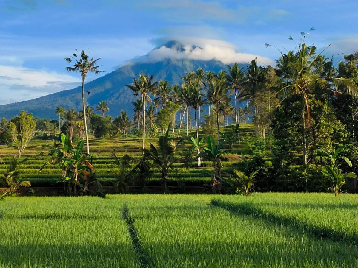 Отель Sawah Ijen Licin Экстерьер фото